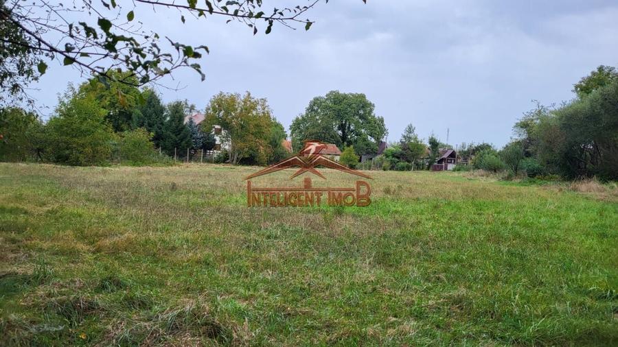Teren Construcții intravilan de 4600 mp, în Porumbacu de Sus