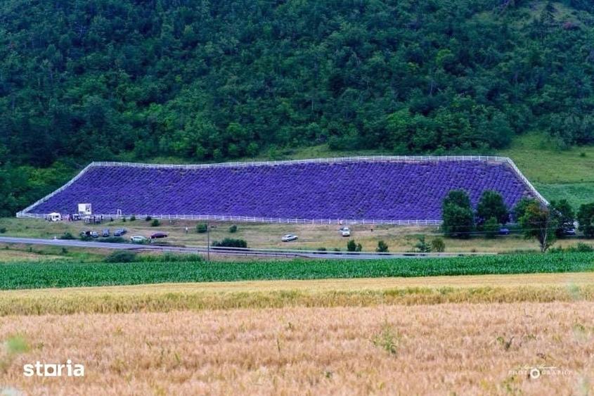 Teren de 8000 mp, în Central