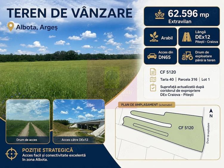Teren de 62600 mp, în Albota