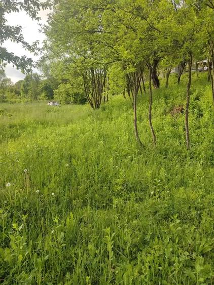 Teren intravilan de 1400 mp, în Sultanu