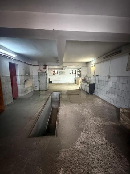 Spațiu industrial, de 90 mp, în Șcheia