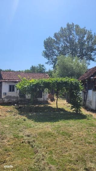 Teren de 1900 mp, în Afânata