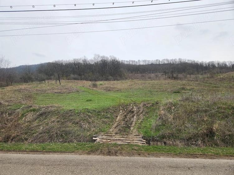 Teren de 8000 mp, în Șoimari