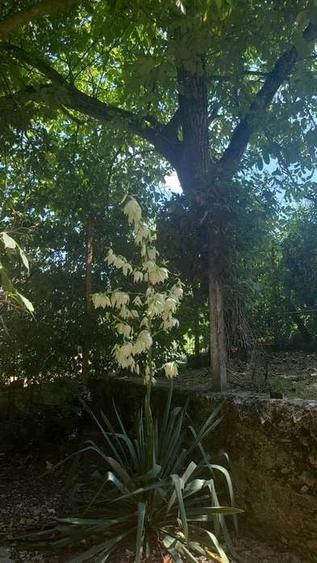 Casă cu 4 camere în Dobârca