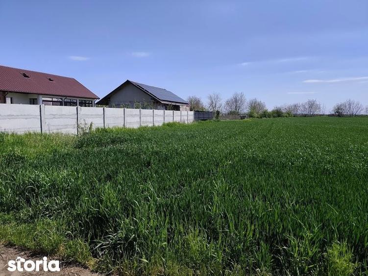 Teren de vanzare 2500 mp, Martacesti, Braila - 3
