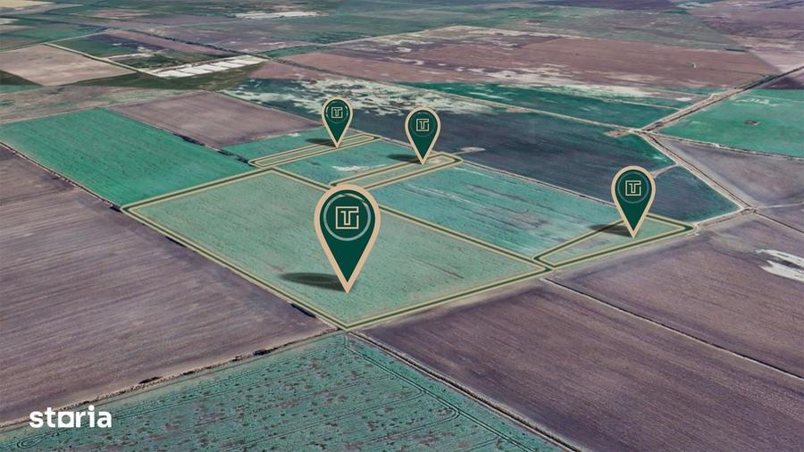 Teren agricol de 11,75 ha de vanzare, la 1,5 km de Turnu, jud. Arad - 3