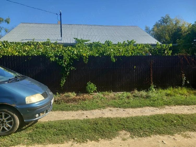 Casă cu Teren 8000 Mp în Central