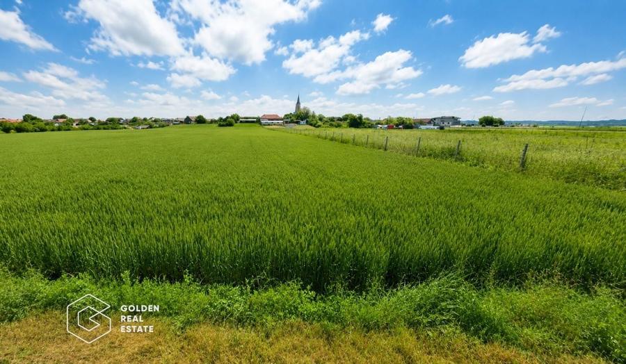 Teren agricol intravilan de 5300 mp, în Vladimirescu