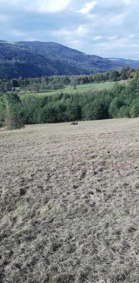 Teren de 7000 mp, în Negreni