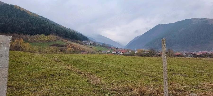 Teren de 5000 mp, în Gura Râului