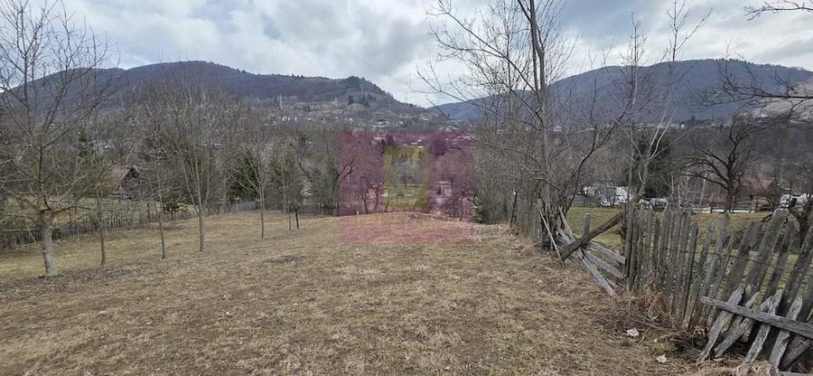 Teren de 2500 mp, în Valea Doftanei