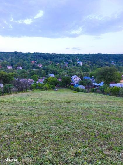 Teren intravilan de vanzare, 2000 mp, deal, padure - 5