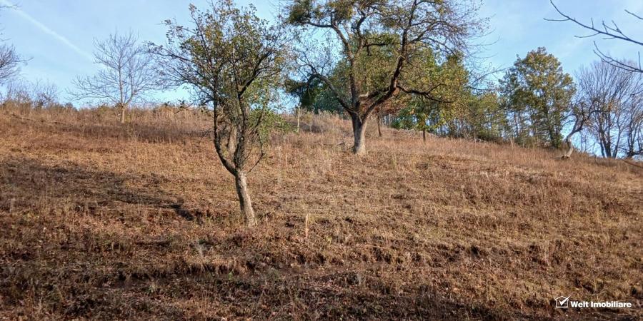 Casă individuală cu 2 camere cu Canalizare în Căpușu Mare