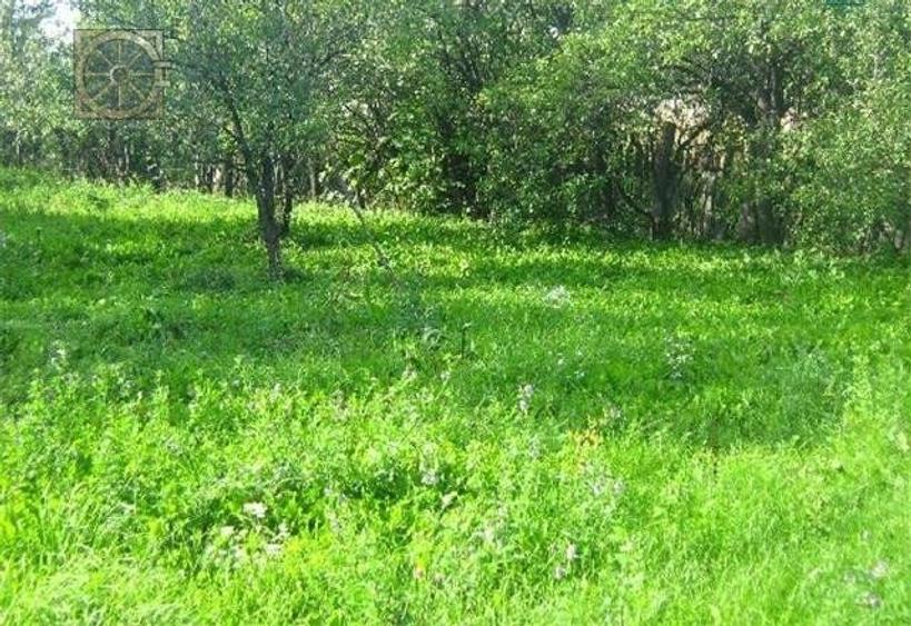 Teren Construcții intravilan de 1700 mp, în Curtea de Argeș