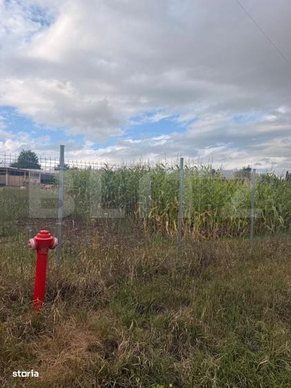 Teren intravilan 1000 mp, front 50 ml, Bunesti - Suceava - 3