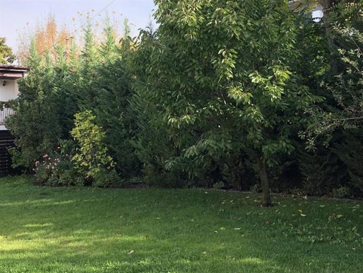 Casă individuală cu 6 camere cu Canalizare în Bucureștii Noi