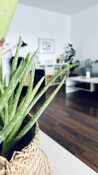 Apartament cu 3 camere în Bună Ziua