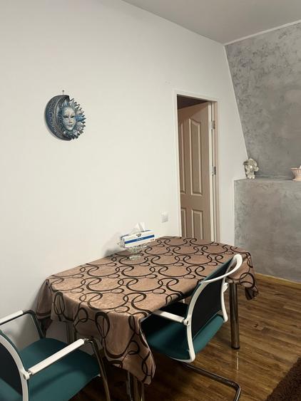 apartament cu 2 camere,etaj intermediar, zona Muzeul Apei - 7