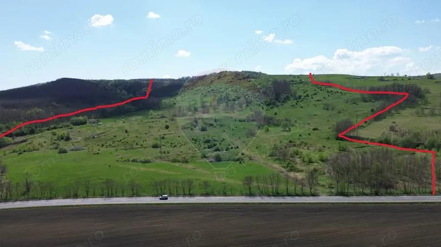 Teren de 659000 mp, în Copșa Mică