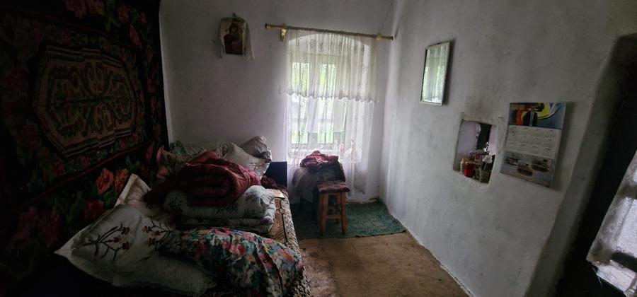 vand casa batraneasca sat Horezu-Poenari, comuna Valea Stanciului, vedere la Jiu - 12