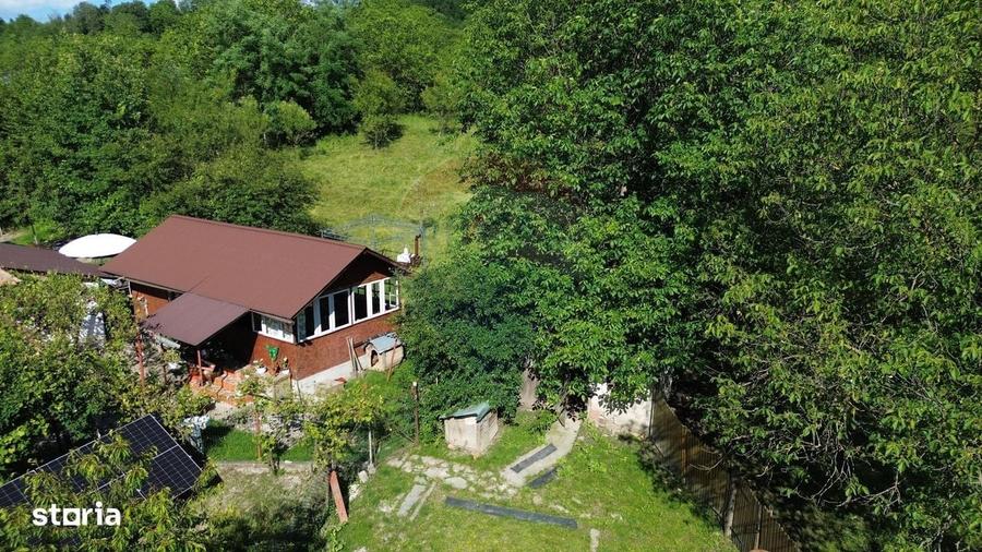 Casa de vanzare in natura la tara - Mihaesti - 9