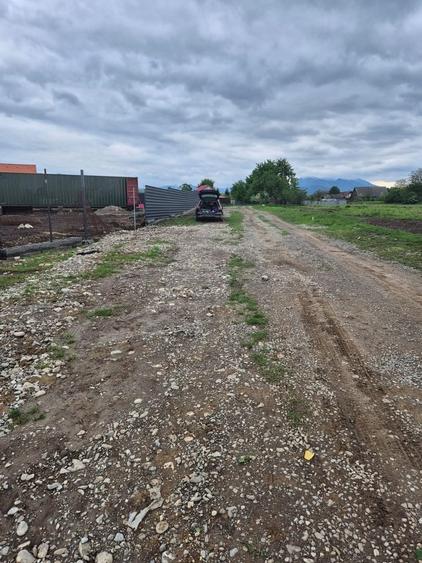 Teren Construcții intravilan de 1450 mp, în Cărpiniș