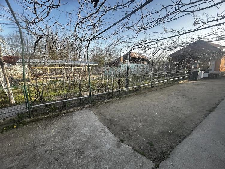 Casă cu Teren 2600 Mp în Lunca