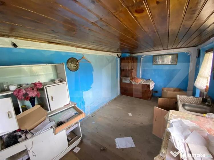 Casă cu 4 camere cu Teren 6600 Mp în Schitu Duca