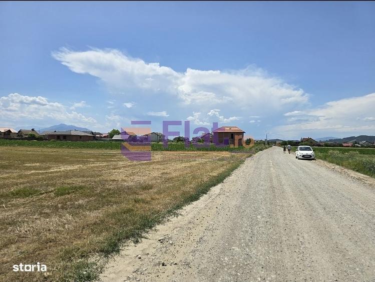 Teren intravilan de vanzare in Harman, Brasov cu utilitati - 1