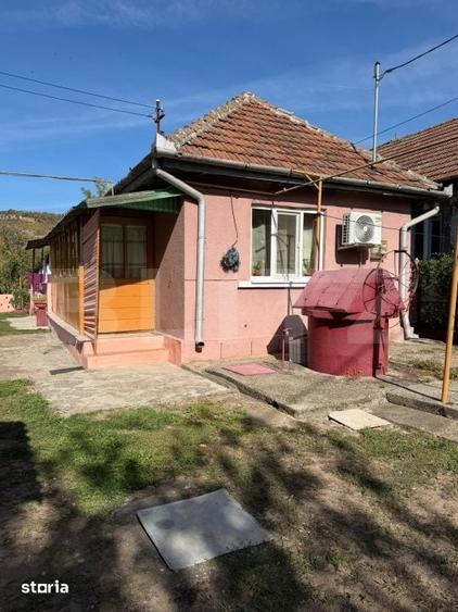 Casă cu 4 camere cu Teren 1479 Mp în Șoimuș