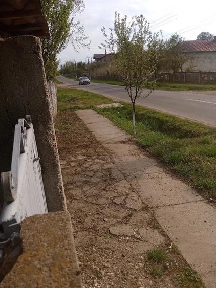 Teren de 700 mp, în Băcălești
