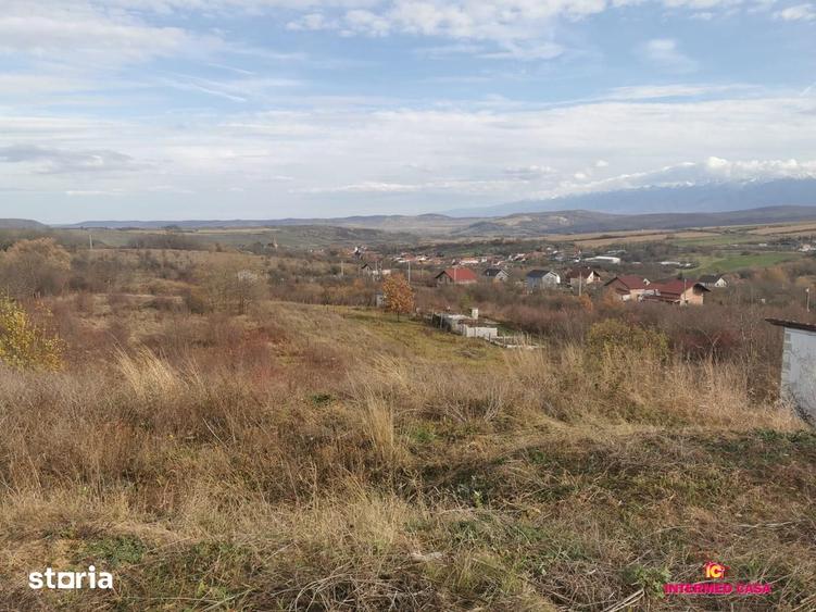 Teren de 665 mp, în Roșia