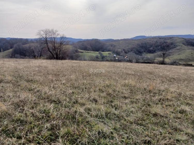De vanzare,Tomnatic Bihor