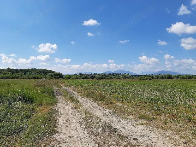 Teren de 20300 mp, în Lunca Calnicului