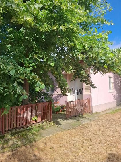 Casă cu 3 camere în Olteni