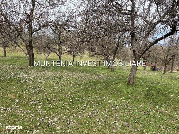 Spațiu comercial, în Albota