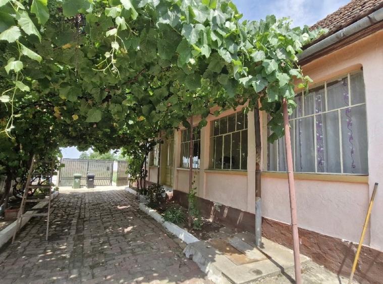 Casă individuală cu 3 camere în Bencecu de Sus