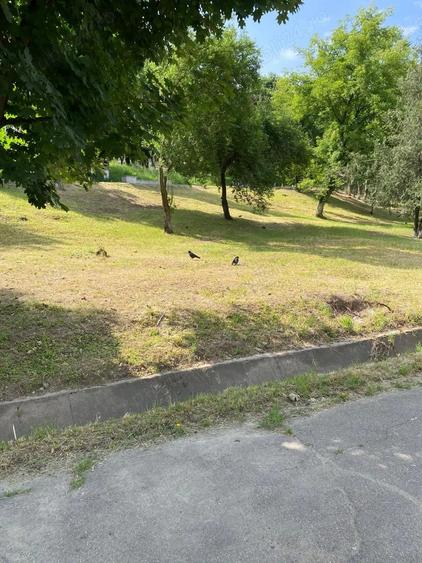 Teren de 2025 mp, în Central