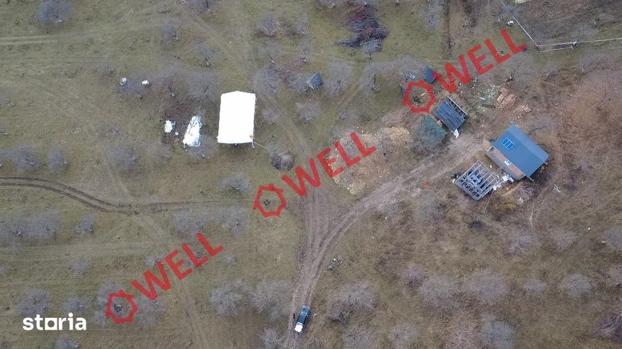 Teren extravilan de 25.274 m2 de vanzare in Calnic, langa padure! - 6