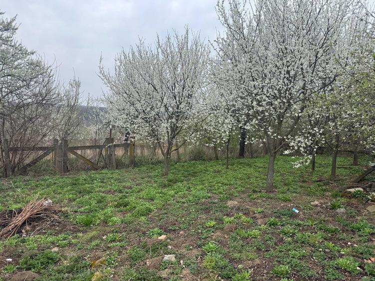 Casă cu 3 camere în Crestur