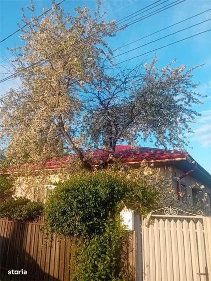 Casă cu 3 camere în Ceptura