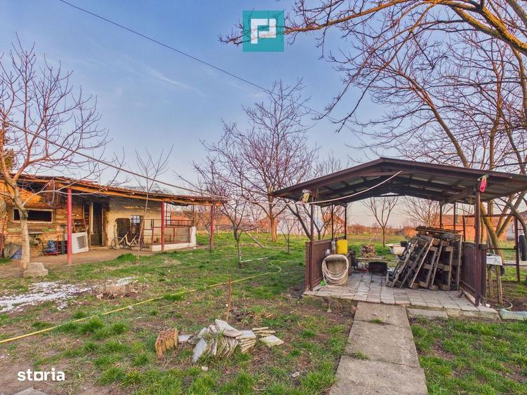 Casă cu 7 camere cu Teren 3141 Mp în Macea