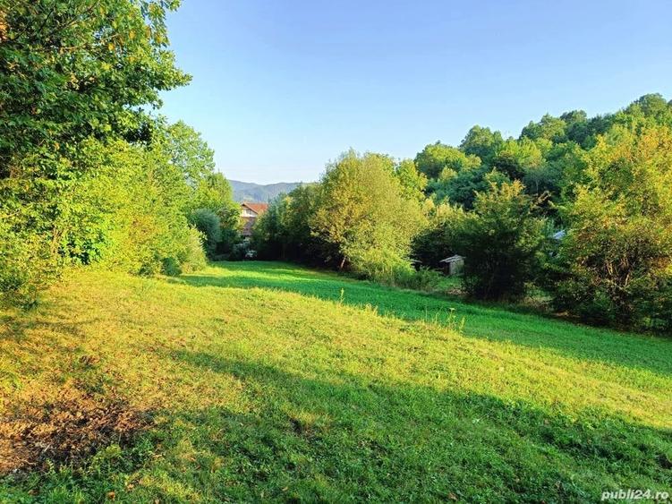 Teren de 3100 mp, în Bistrița