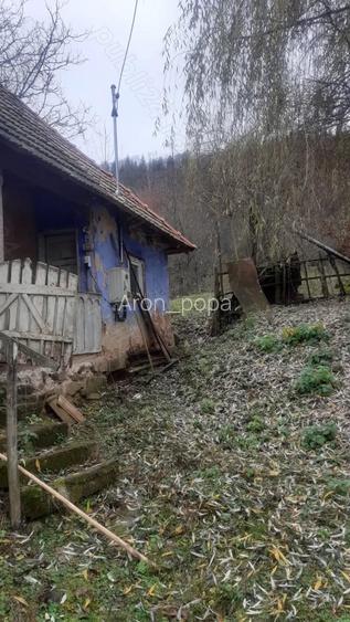 Vand casa ?araneasca din lemn.