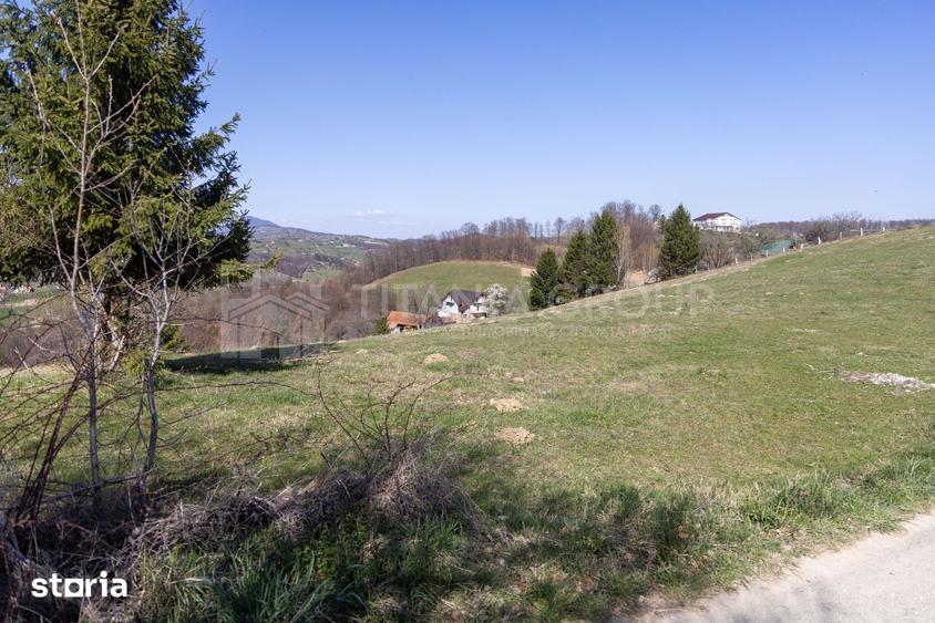Teren de 3791 mp, în Moieciu