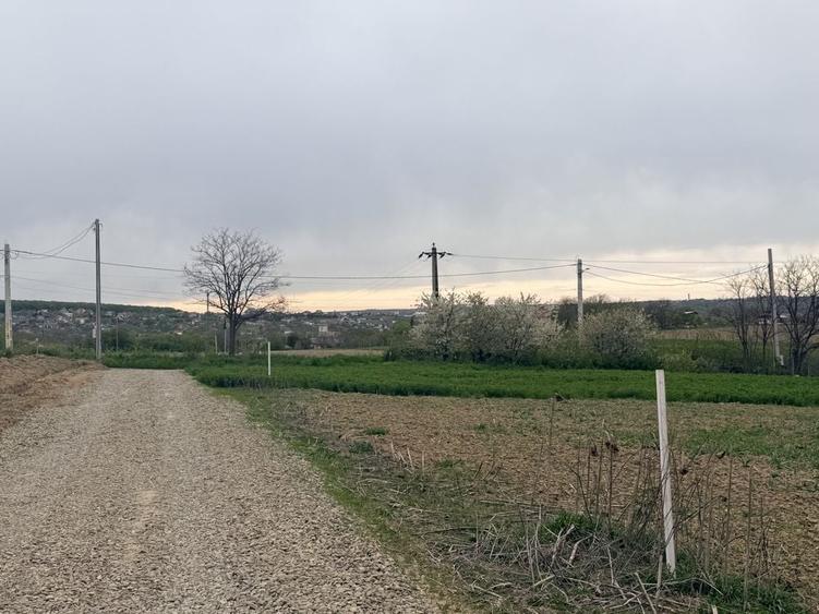 Teren de 800 mp, în Exterior Vest