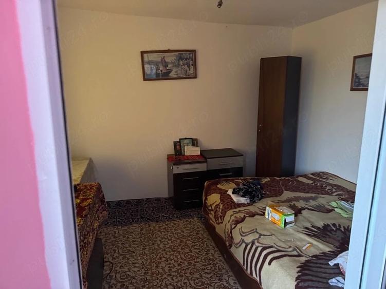 Casă cu Teren 4000 Mp în Valea Nucarilor