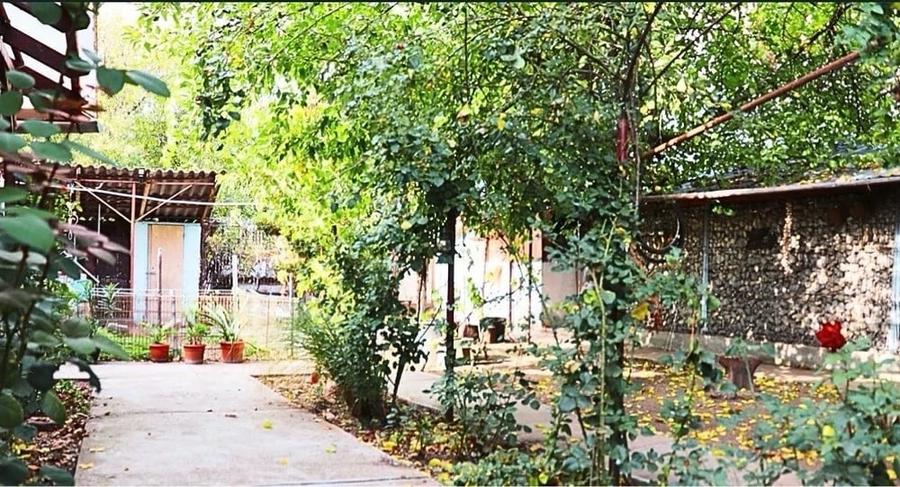 Casă cu Teren 1550 Mp în Galșa