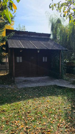 Casă cu 4 camere în Lunca Mare