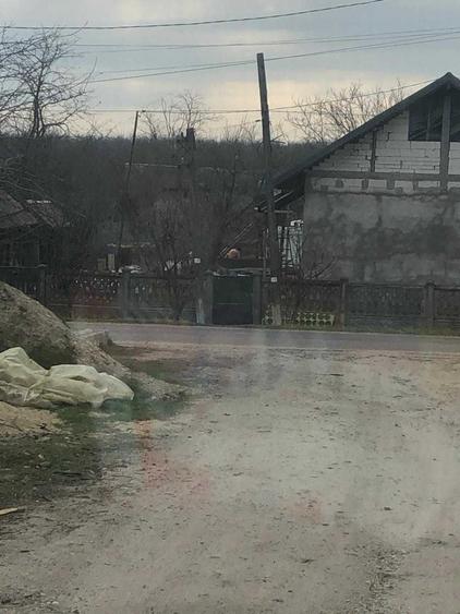 Spațiu comercial, în Frumoasa